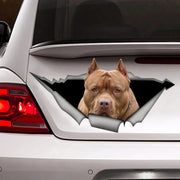 Brown American Pitbull 17CM\20CM Self-adhesive Decal Car Sticker Waterproof Auto Decors on Bumper Rear Window Laptop # 60412