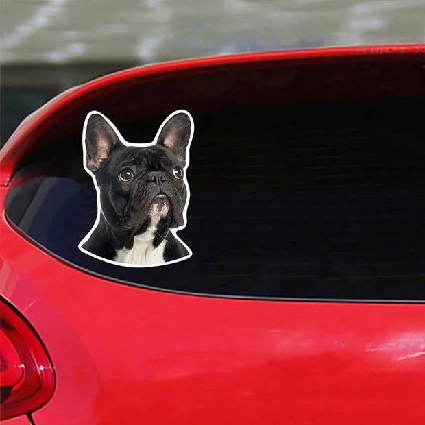 PVC-0167# Various Sizes Self-adhesive Decal French Bulldog Car Sticker Waterproof Auto Decors on Bumper Rear Window