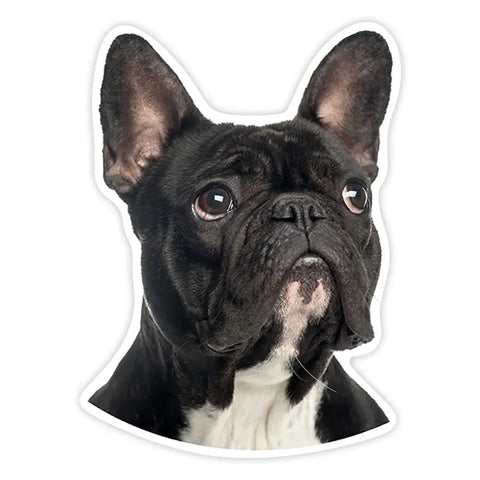 PVC-0167# Various Sizes Self-adhesive Decal French Bulldog Car Sticker Waterproof Auto Decors on Bumper Rear Window