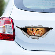 Red Cat 3D Self-adhesive Decal Car Sticker Waterproof Auto Decors on Bumper Rear Window Laptop Choose Size #S60488