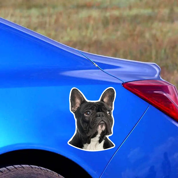 PVC-0167# Various Sizes Self-adhesive Decal French Bulldog Car Sticker Waterproof Auto Decors on Bumper Rear Window