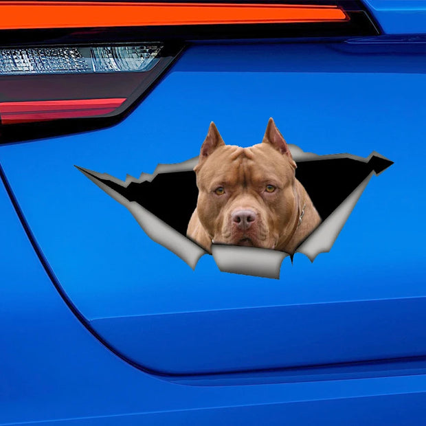 Brown American Pitbull 17CM\20CM Self-adhesive Decal Car Sticker Waterproof Auto Decors on Bumper Rear Window Laptop # 60412