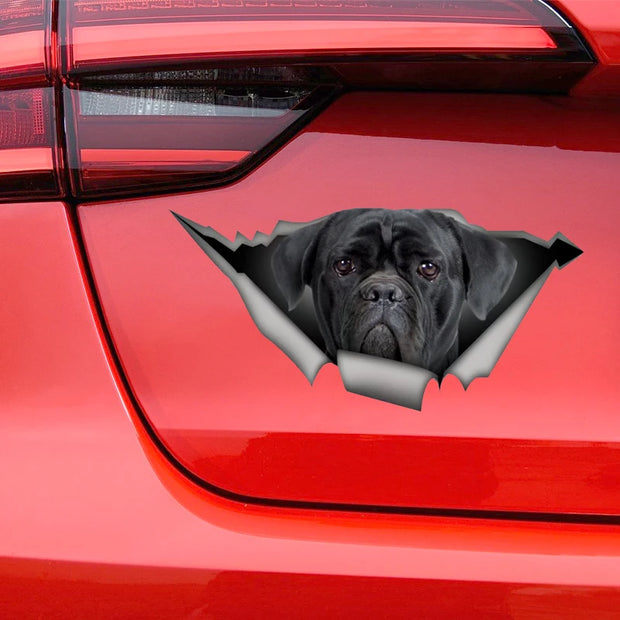 Cane Corso Dog 3D Self-adhesive Decal Car Sticker Waterproof Auto Decors on Bumper Rear Window Laptop Choose Size #S60474