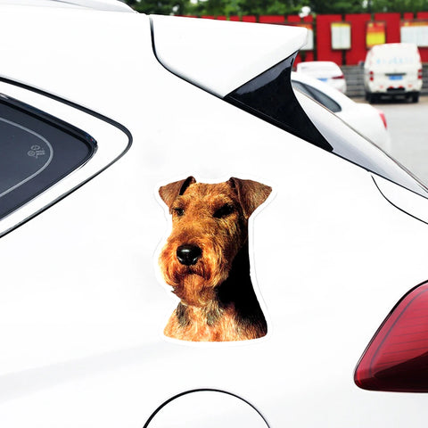 S41162# Various Sizes Self-adhesive Decal Welsh Terrier Car Sticker Waterproof Auto Decors on Bumper Rear Window