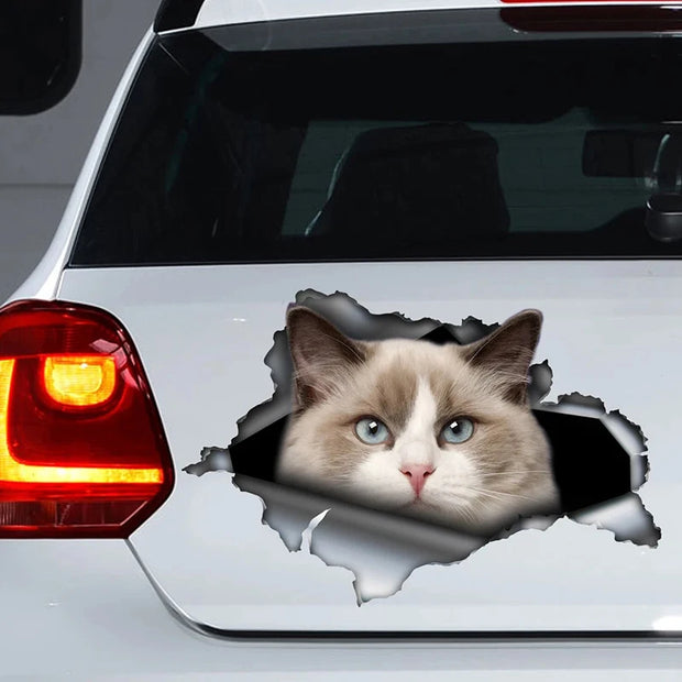 Ragdoll Cat Self-adhesive Decal Car Sticker Waterproof Auto Decors on Bumper Rear Window Laptop Choose Size #S60487