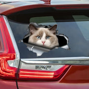 Ragdoll Cat Self-adhesive Decal Car Sticker Waterproof Auto Decors on Bumper Rear Window Laptop Choose Size #S60487