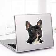 PVC-0167# Various Sizes Self-adhesive Decal French Bulldog Car Sticker Waterproof Auto Decors on Bumper Rear Window