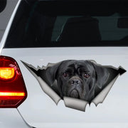 Cane Corso Dog 3D Self-adhesive Decal Car Sticker Waterproof Auto Decors on Bumper Rear Window Laptop Choose Size #S60474