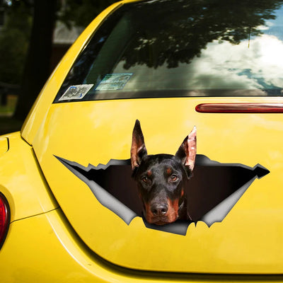 Doberman Dog Pet Animal Self-adhesive Decal Car Sticker Waterproof Auto Decors on Bumper Rear Window Laptop Choose Size #S60440