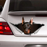 Doberman Dog Pet Animal Self-adhesive Decal Car Sticker Waterproof Auto Decors on Bumper Rear Window Laptop Choose Size #S60440