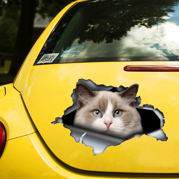 Ragdoll Cat Self-adhesive Decal Car Sticker Waterproof Auto Decors on Bumper Rear Window Laptop Choose Size #S60487