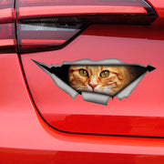 Red Cat 3D Self-adhesive Decal Car Sticker Waterproof Auto Decors on Bumper Rear Window Laptop Choose Size #S60488