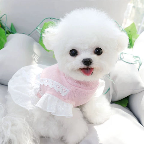 Teddy Puppy Princess Skirt Spring and Summer Thin Summer Clothes Pet Chihuahua Small Puppies Bichon Pomeranian