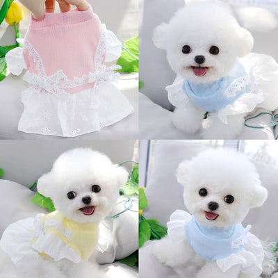 Teddy Puppy Princess Skirt Spring and Summer Thin Summer Clothes Pet Chihuahua Small Puppies Bichon Pomeranian