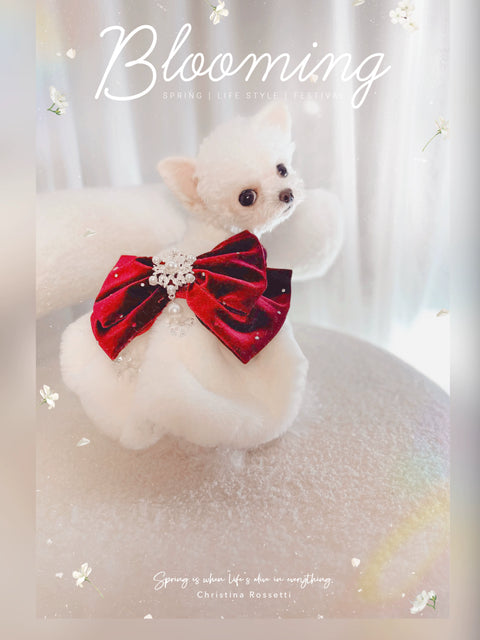 Chirs White Valentine's Day Pet Clothes Dog Muppet Cat Bling Princess Dress