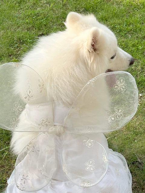 Dog Wedding Dress Medium and Large Size Dog Wedding Dress Princess Dress Samo Golden Retriever Automobiles Curtain Dress Dog Dress 1627207:25509711127#122216750:42189994 $ IPPA Phones