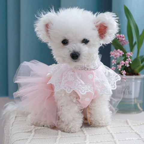 Choose 3 Dog Clothes Clothes Pet Cat Dress Teddy Bichon Skirt Princess Dress Pettiskirt 1627207:18699267437#122216750:12788677537 $ Beautiful collection under $10 IPPA Phones