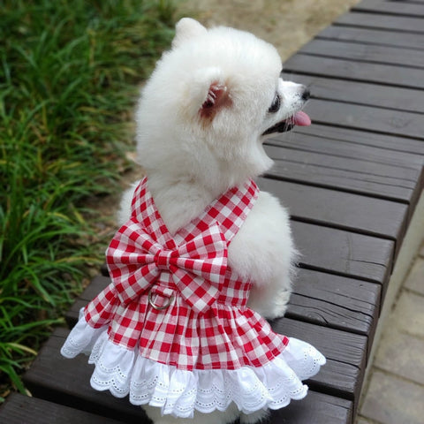 Pet Cat and Dog Lace Plaid Dress Small and Medium-Sized Dogs Chest and Back Traction Clothes Teddy Bichon Thin Spring and Summer Clothes