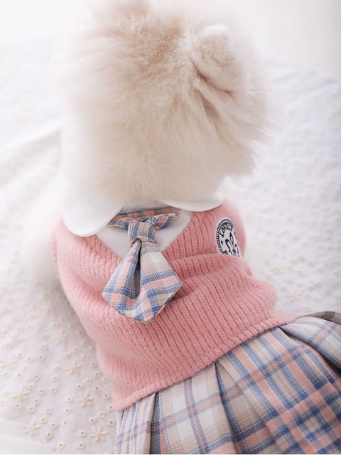 Puppy Clothes Autumn JK Princess Dress Bichon VIP Small Size Dogs Pomeranian Cat Skirt Autumn and Winter Pet Puppy