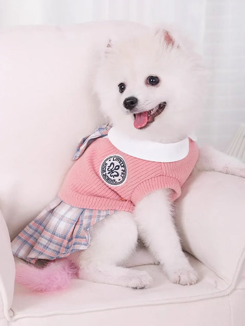 Puppy Clothes Autumn JK Princess Dress Bichon VIP Small Size Dogs Pomeranian Cat Skirt Autumn and Winter Pet Puppy