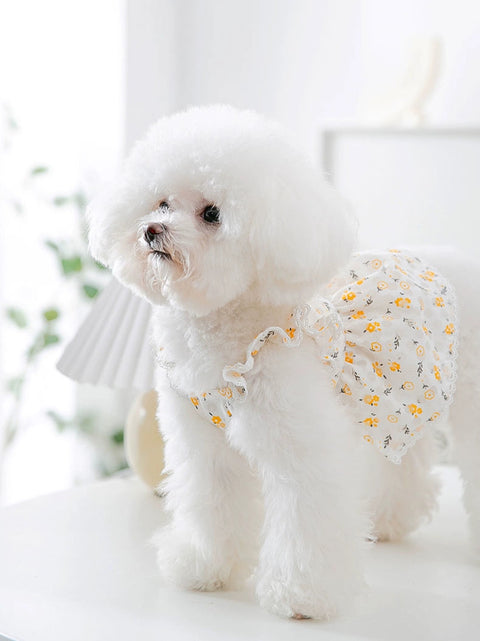 Flying Sleeve Floral Princess Dress Dog Clothes Summer Thin Teddy Bichon Yorkshire Pet Summer 1627207:28320#122216750:2644243138 $ Beautiful collection under $10 IPPA Phones