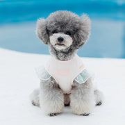 Ispet Pet Dog Clothes Princess Skirt Autumn Clothing Dress Teddy Bichon Small Size Dogs Cute Pettiskirt