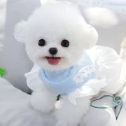 Teddy Puppy Princess Skirt Spring and Summer Thin Summer Clothes Pet Chihuahua Small Puppies Bichon Pomeranian