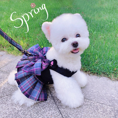 Pet K-style JK Skirt Hand Holding Rope Summer Cat Teddy/Pomeranian Bichon Dog Clothes Small Size Dogs Spring and Autumn