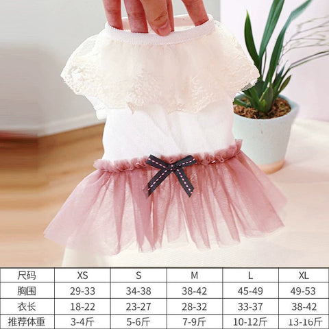 Choose 3 Dog Clothes Clothes Pet Cat Dress Teddy Bichon Skirt Princess Dress Pettiskirt 1627207:18699267437#122216750:12788677537 $ Beautiful collection under $10 IPPA Phones