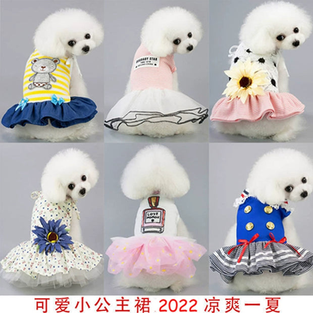 Dog Clothes Spring Dress Teddy Bichon Pomeranian Small Dog Summer Princess Dress Pet Spring and Summer Thin