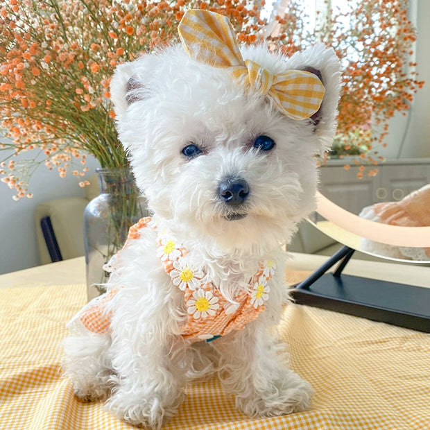 Dog Skirt Teddy Bichon Pomeranian Puppy Cat Pet Summer Thin Mini Sundress Dog Clothes Princess 1627207:12809780809#122216750:8199557611 $ Beautiful collection under $10 IPPA Phones