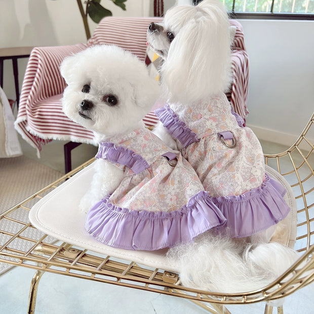 KZ Taro Fragrance Little Honey with Traction Rope Ring Small Skirt Pet Dog Teddy Bichon Frise Clothes Spring and Autumn Clothing