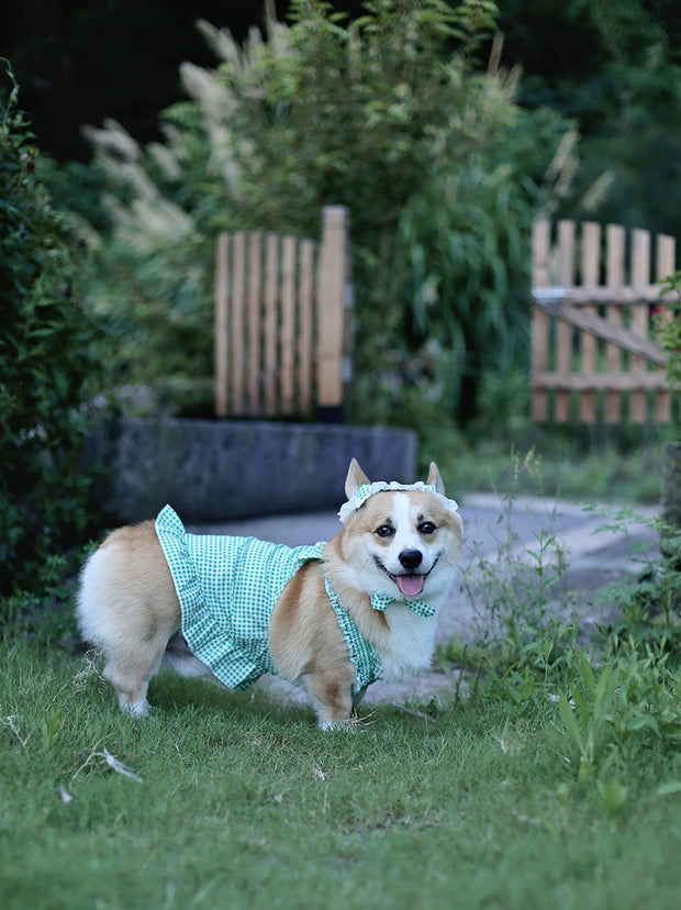 Pet Dress with Hat Fat Dog Clothes Summer Thin Breathable Plaid Skirt Suit Corgi Medium-Sized Dog