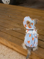 Furfur Weekend Puppy Clothes Pet Dress K-style Chest Back Spring Summer Small Size Dogs Yorkshire Bichon 1627207:23898204591#122216750:42189994 $ Beautiful collection under $10 IPPA Phones