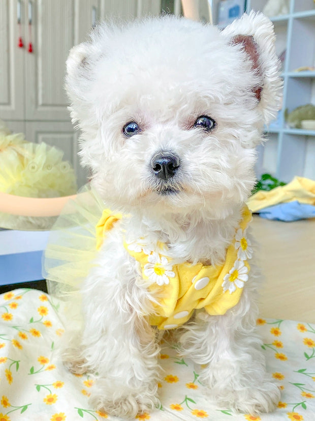 Pet Cat Dog Clothes Summer Dress Bichon Pomeranian York Summer Teddy Princess Dress Small Size Dogs Schnauzer