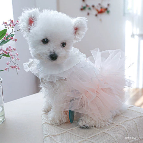 Choose 3 Dog Clothes Clothes Pet Cat Dress Teddy Bichon Skirt Princess Dress Pettiskirt 1627207:18699267437#122216750:12788677537 $ Beautiful collection under $10 IPPA Phones