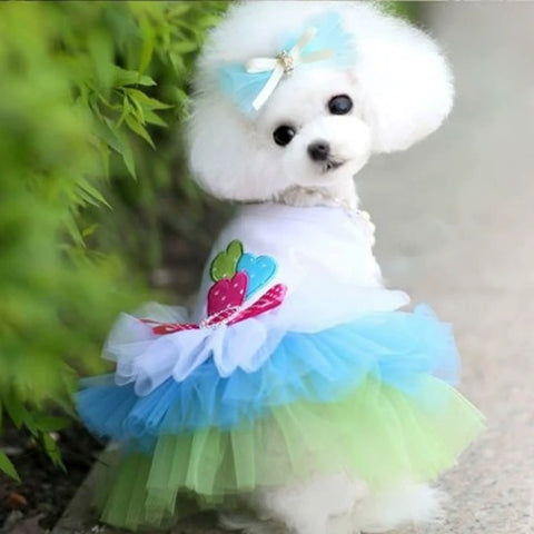 Dog Clothes Autumn Teddy Bichon Pomeranian Small Dog Pet Princess Dress Spring and Autumn Clothing Thin Trendy