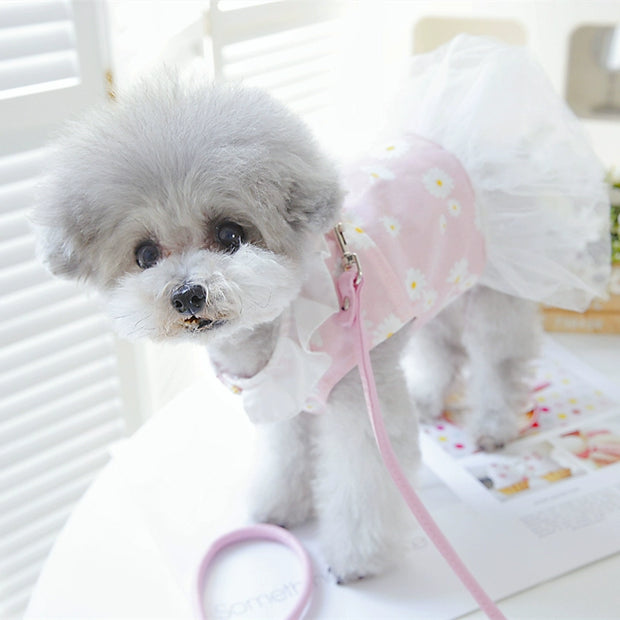 Pet Bichon Cat Poodle Dog Clothes Spring and Summer Clothes Spring Princess Dress Female Canine Daisy Traction Skirt