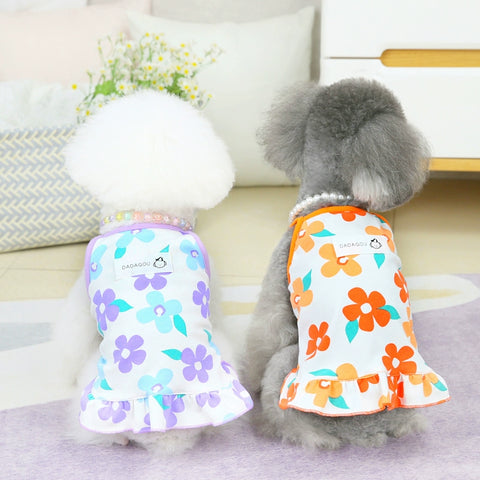 Dog Clothes Spring Dress Teddy Bichon Pomeranian Small Dog Summer Princess Dress Pet Spring and Summer Thin