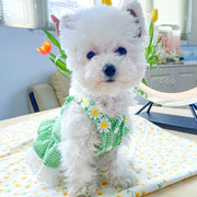 Dog Skirt Teddy Bichon Pomeranian Puppy Cat Pet Summer Thin Mini Sundress Dog Clothes Princess 1627207:12809780809#122216750:8199557611 $ Beautiful collection under $10 IPPA Phones