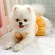 Dog Skirt Teddy Bichon Pomeranian Puppy Cat Pet Summer Thin Mini Sundress Dog Clothes Princess 1627207:12809780809#122216750:8199557611 $ Beautiful collection under $10 IPPA Phones