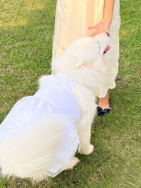 Dog Wedding Dress Medium and Large Size Dog Wedding Dress Princess Dress Samo Golden Retriever Automobiles Curtain Dress Dog Dress 1627207:25509711127#122216750:42189994 $ IPPA Phones