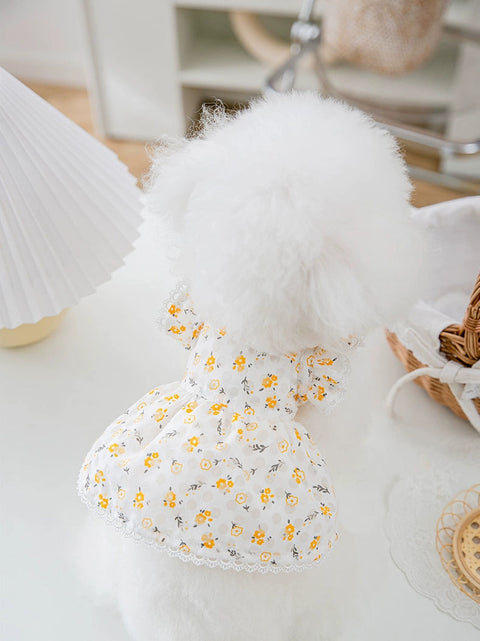 Flying Sleeve Floral Princess Dress Dog Clothes Summer Thin Teddy Bichon Yorkshire Pet Summer 1627207:28320#122216750:2644243138 $ Beautiful collection under $10 IPPA Phones