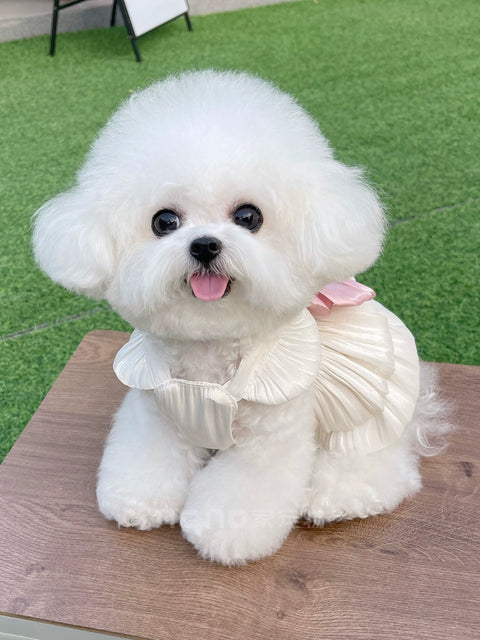 Pet Clothes Summer Thin Breathable Streamer Yarn Princess Skirt Teddy Bichon Dog Cat out Traction