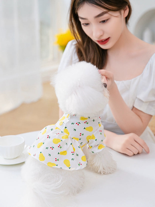 Floral Dog Clothes Spring/Summer Thin Teddy Bichon Pomeranian Cat Pet Small Puppies Summer Princess Skirt
