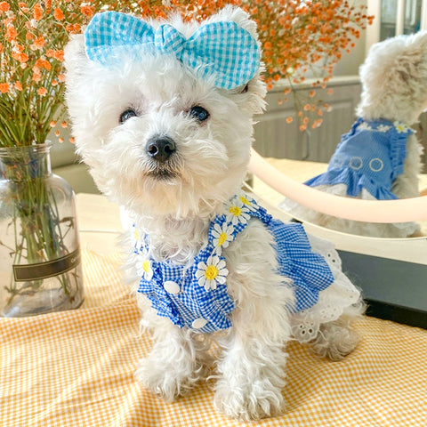 Dog Skirt Teddy Bichon Pomeranian Puppy Cat Pet Summer Thin Mini Sundress Dog Clothes Princess 1627207:12809780809#122216750:8199557611 $ Beautiful collection under $10 IPPA Phones