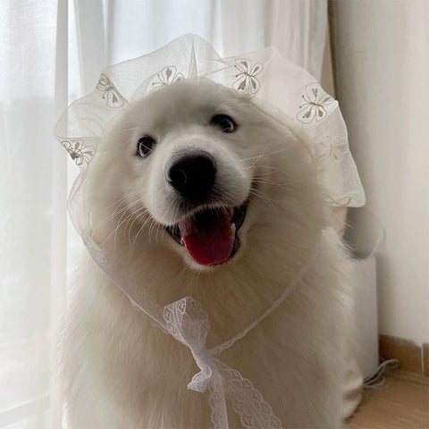 Dog Wedding Dress Medium and Large Size Dog Wedding Dress Princess Dress Samo Golden Retriever Automobiles Curtain Dress Dog Dress 1627207:25509711127#122216750:42189994 $ IPPA Phones