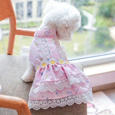 Dog Princess Dress stylish and adorable outfit 1627207:3232480#122216750:2488448565 $ Beautiful collection under $10 IPPA Phones