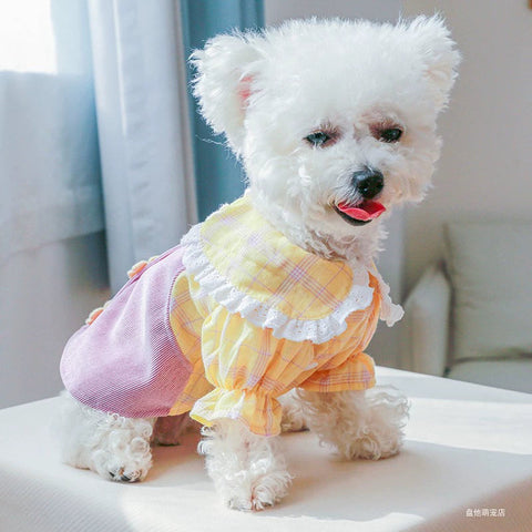 Choose 3 Dog Clothes Clothes Pet Cat Dress Teddy Bichon Skirt Princess Dress Pettiskirt 1627207:18699267437#122216750:12788677537 $ Beautiful collection under $10 IPPA Phones