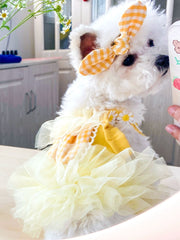 Pet Cat Dog Clothes Summer Dress Bichon Pomeranian York Summer Teddy Princess Dress Small Size Dogs Schnauzer
